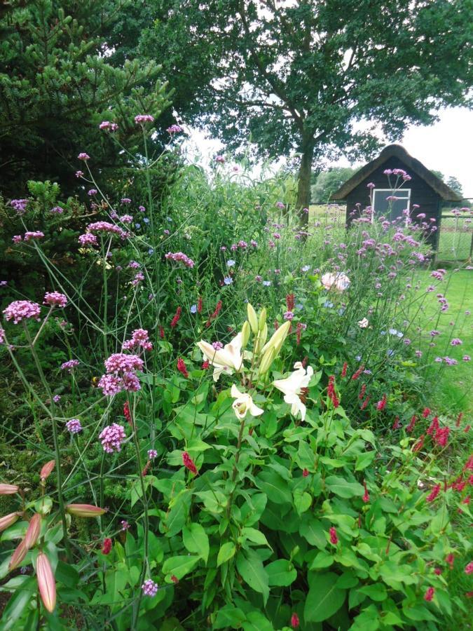 Klein Vreugderijk Bed & Breakfast Zwolle  Dış mekan fotoğraf