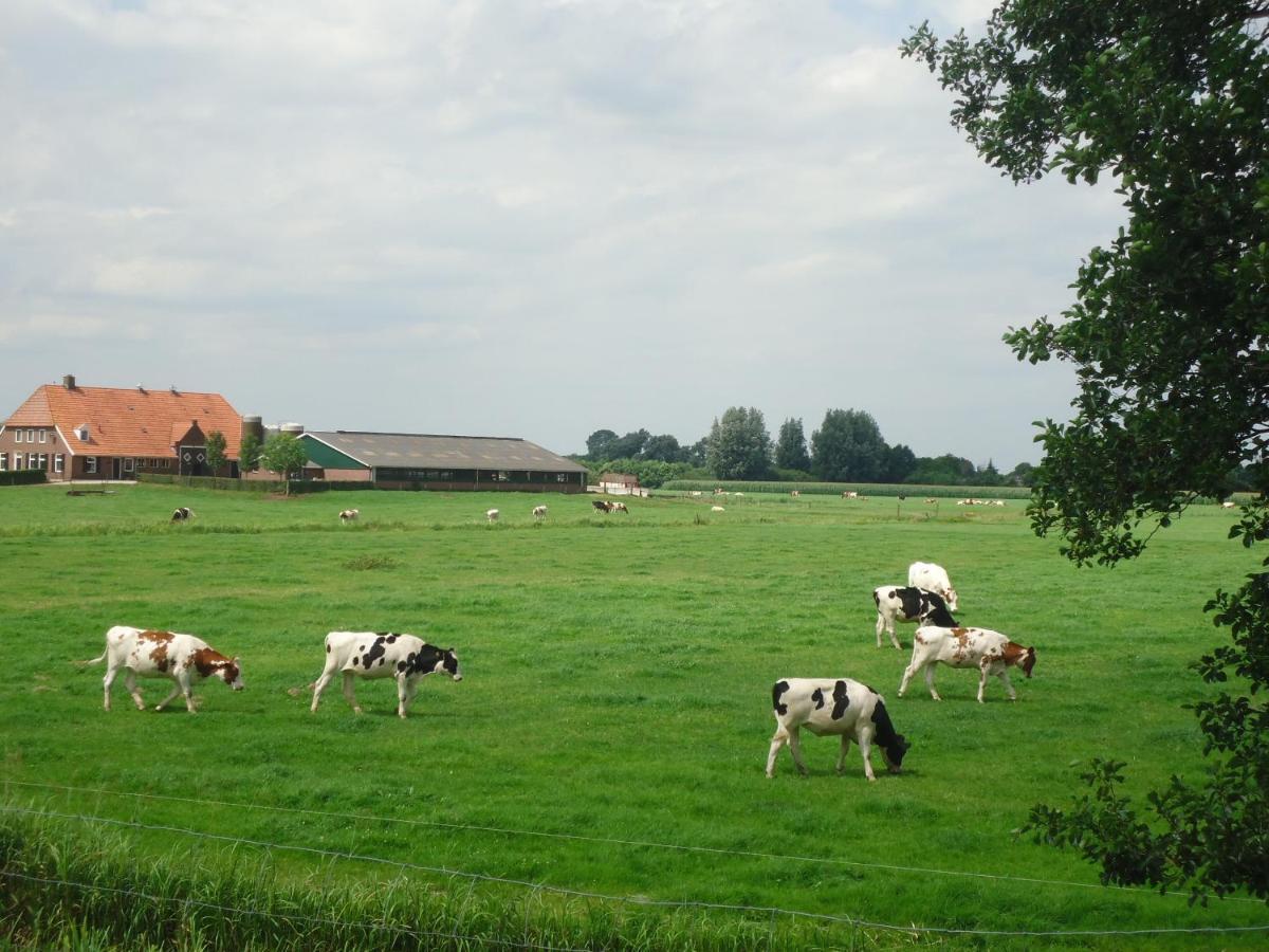 Klein Vreugderijk Bed & Breakfast Zwolle  Dış mekan fotoğraf